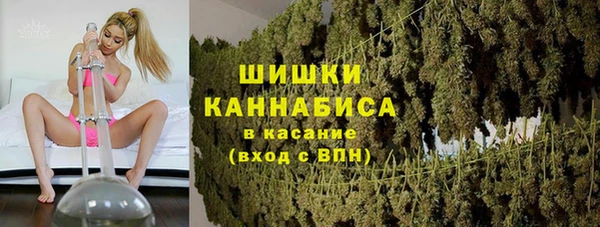 шишки Армянск