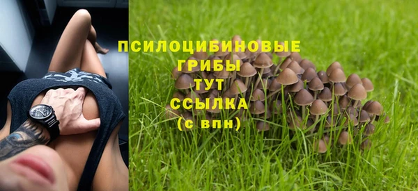 шишки Армянск