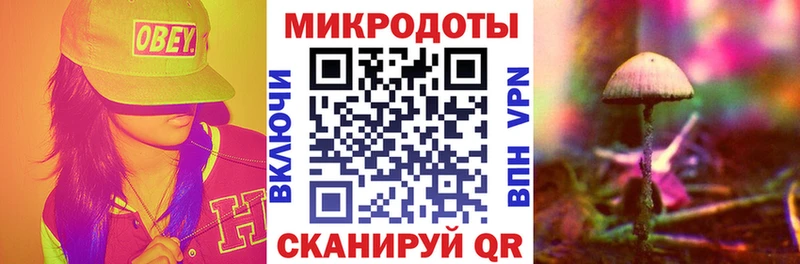 Галлюциногенные грибы Psilocybine cubensis  мега как войти  Гороховец 